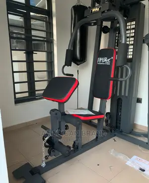 Chinese Imported Single Station Gym