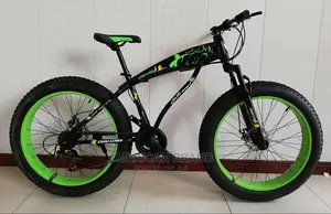 Newly Imported Fat Tire Bicycle