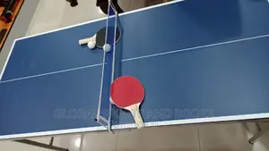 Mini Children Table Tennis Board
