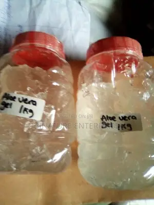 Organic Aloe Vera Gel (1kg)