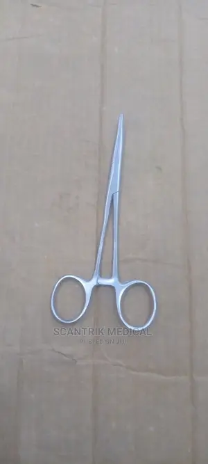 Curved Artery Forceps (6 Inch)