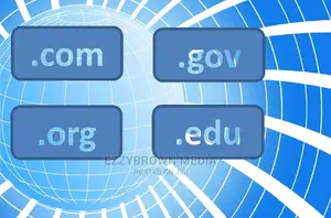 I Will Provide Hosting, Domain, SSL and Wordpress Setup