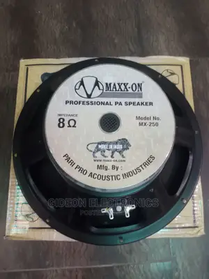 Max 12"Speaker