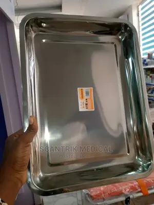 Medical Instrument Tray