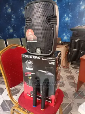 8 Inch Rechargeable Public Address System +2 Wireless Mic