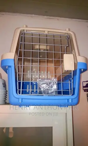 Dog and Cat Cages