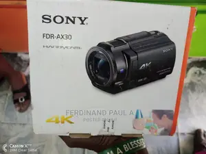 Sony Professional Sd Card Camcorder