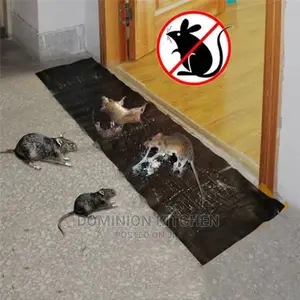 Rat Gum Trap