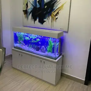 Aquarium 4ft*2ft*1ft