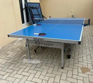 Standard High Quality Outdoor Table Tennis Board