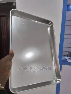 Stainless Medical Tray