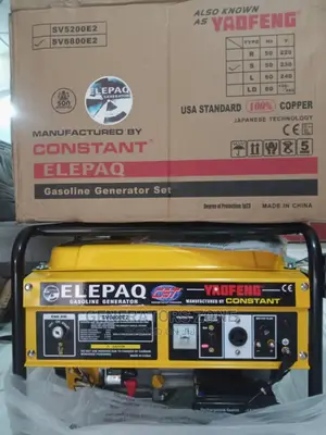 Fast Sellingsv6800e2 Elepaq Constant Automatic 4.5kva Generator-Copper