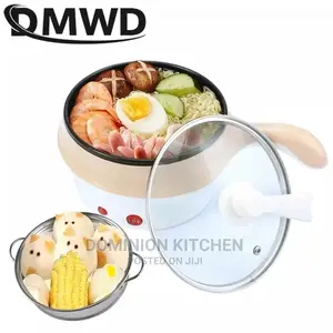2 in 1 Non-Stick Stainless Steel Mini Electric Pot and Pan