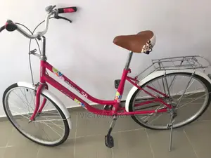 Ladies Bike
