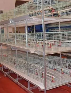 Broiler Cage