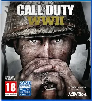 Call of Duty: WWII - COD World War II (2) PC/Laptop Game