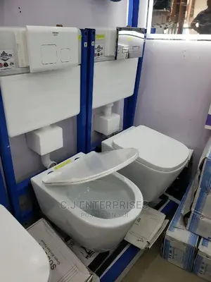Wall Hung Wc