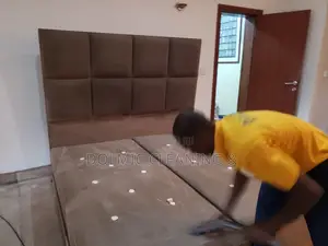 Furniture and Upholstery Cleaning