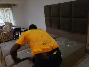 Upholstery Cleaning