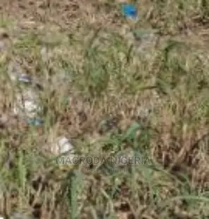 Long Lease in Yaba