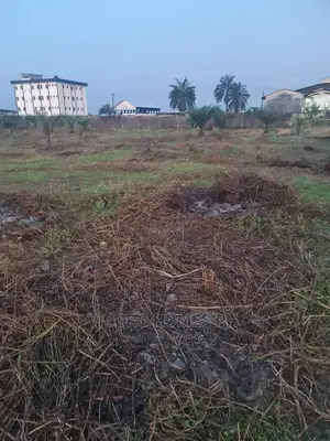 Dry Land at Trans Amadi C of O