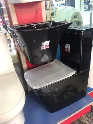 Eagle Black Water Closet With Hung Wash Hand Basin