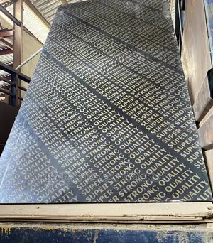 17mm Marine Construction Plywood