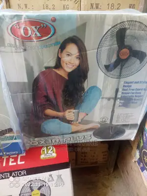 OX Quality Standing Fan