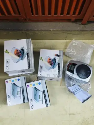 Electronic Kitchen Scale