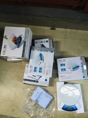Electronic Kitchen Scale