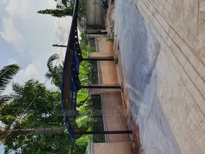 Standard 2 Cars Carport