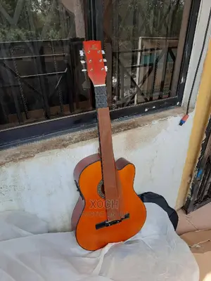 Semi Acoustic Guitar