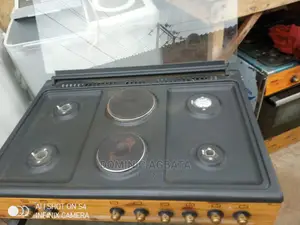 Standing Gas Stove