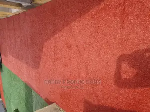 Outdoor Space for Red Carpet Show