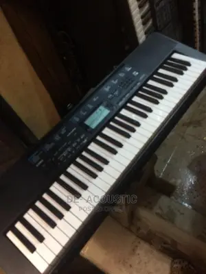 Casio CTK-2300 61-Key Personal Keyboard With Voice Pad Feat