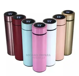 Temperature Display Water Flask 500ml