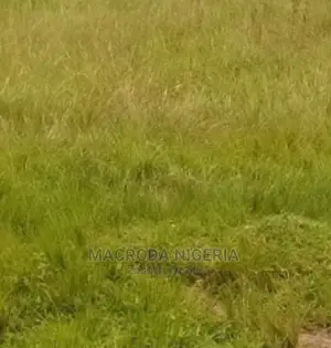 Half Plot at Obawole Ifako Ijaiye, Agege for Sale