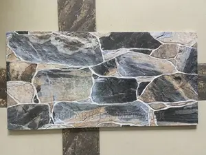 30*60 Outside Wall Tiles Virony Product
