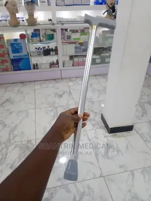 Walking Stick