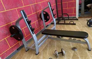 Commercial Weight Bench Olympic Standard