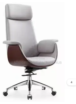Executive M. D Office Chairs