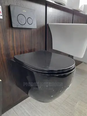 Wall Hung Concealed Water Closet Toilet