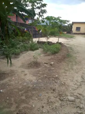 Christmas Bonanza
