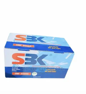 Quality Battery Originally Made in Korea 12volt 100ahs Benz
