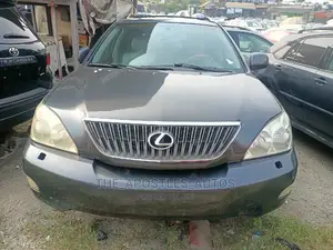 Lexus RX 2005 Gray