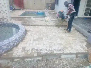 Interlocking (Paving Stone)