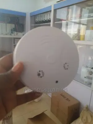 Smoke Detector Hidden Camera