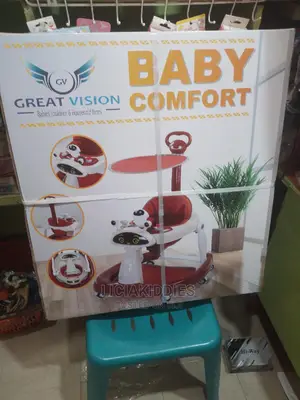 Baby 2 in 1 Walker