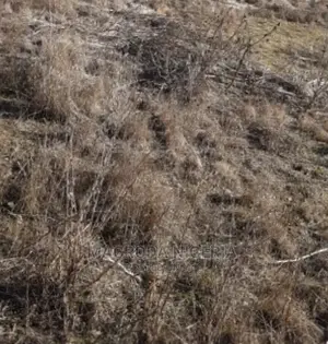 Half Plot on a Conerpiece for Sale