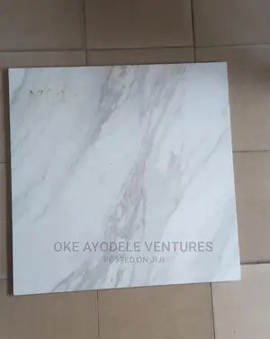 60/60 Polished Tiles New